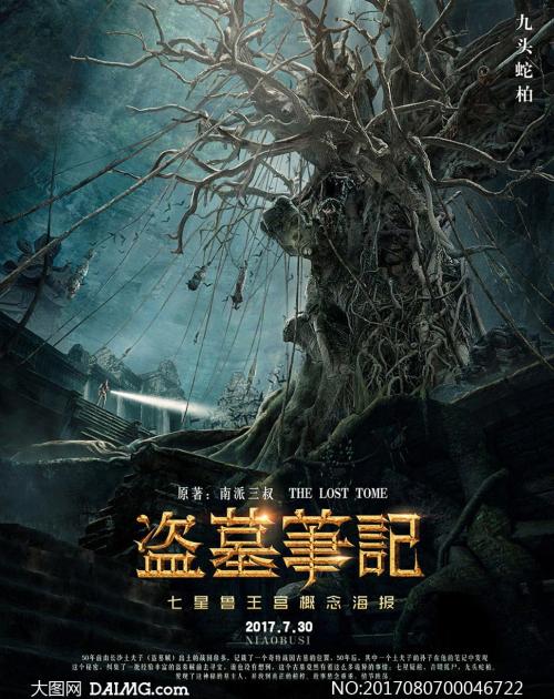 教育部学历认证报告编号怎么知道